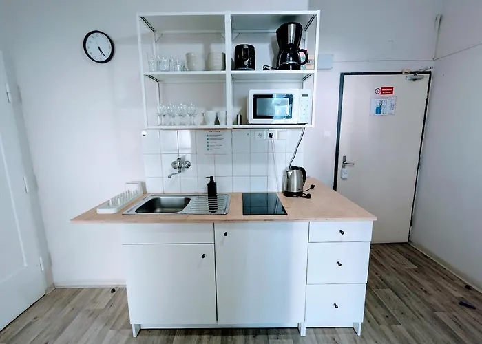 Flat In Prague -503-